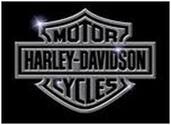 Harley Davidson Eyewear Logo